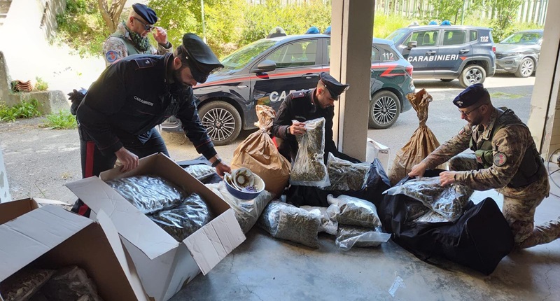 Decine di chili di marijuana:  i carabinieri di Siniscola arrestano due persone