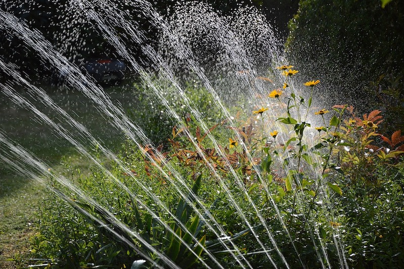 Come scegliere il miglior sistema di irrigazione interrata per il