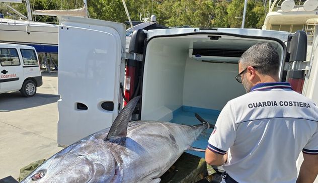 Pesca da record a Bosa: tonno di oltre 230 chili