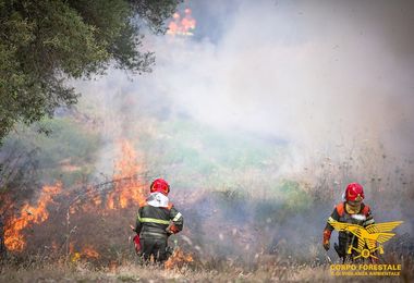 Incendi: 14 i roghi in Sardegna, elicottero a Ovodda