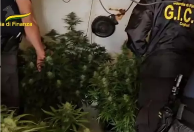 Piantagione di marijuana in un casolare a Selargius: arrestato 42enne