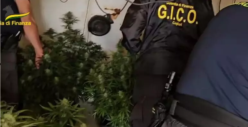 Piantagione di marijuana in un casolare a Selargius: arrestato 42enne