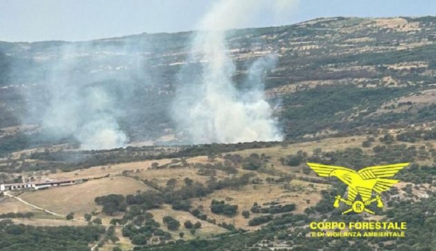 Sardegna: 11 incendi. Fiamme vicino ad aziende, morti alcuni animali