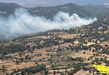 Oggi 13 incendi in Sardegna: elicotteri a Nuoro, Osidda e Nurri