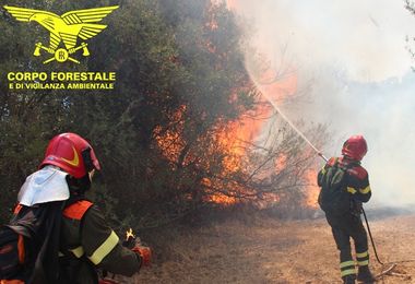 Oggi 19 incendi in Sardegna: mezzi in volo a Bonorva, Serri e Nuoro