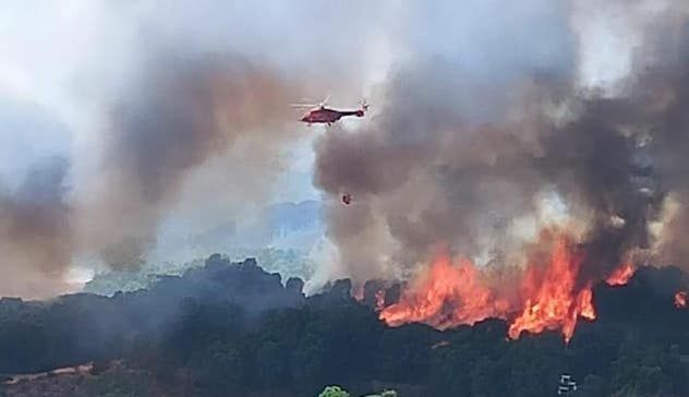 Ondate di calore: scatta l’allerta per pericolo incendi da domani in Sardegna 