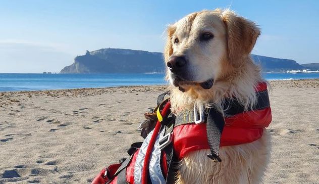 Due turisti danesi soccorsi dal cane Aro a Badesi