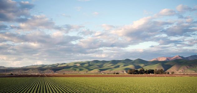 Fertilizzanti e idrogeno, la svolta sostenibile del settore agricolo