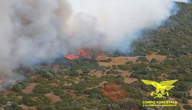 Incendi. Inferno in Sardegna: oggi 20 roghi