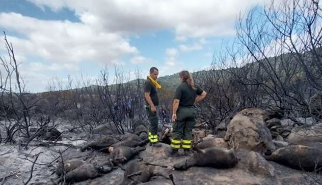 Vasto incendio a Orotelli, indagini del Corpo Forestale