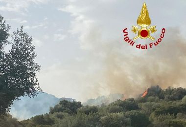 Incendio a Orotelli: strage di animali ed ettari in fumo