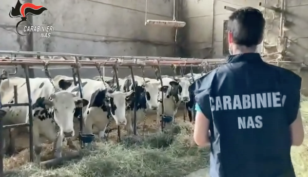 Cagliari, Oristano e Nuoro. Truffa all'Ue su fondi per agricoltura, 4 arresti e 12 indagati 