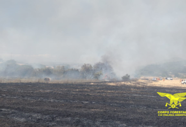 Un’altra giornata di fuoco in Sardegna: dieci incendi