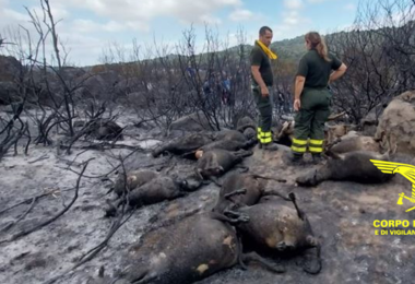 La Pro loco Orotelli propone raccolta fondi dopo il devastante incendio