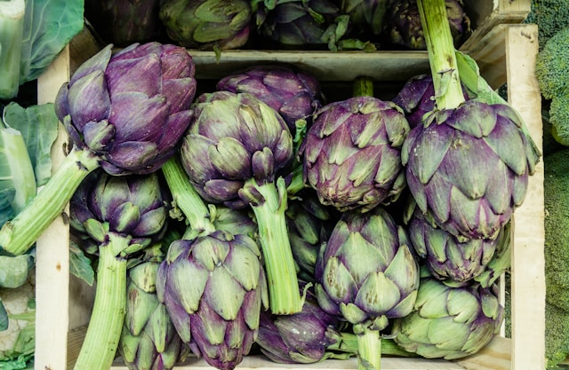 Tre lavoratori in nero per raccogliere carciofi, multato