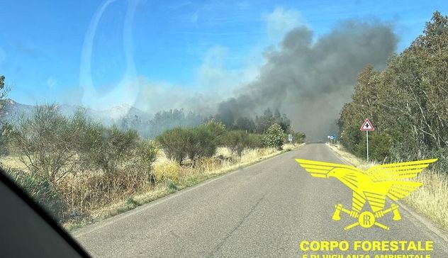 Dieci incendi oggi in Sardegna: mezzi aerei a Sindia e Siliqua