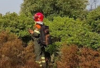 Ancora fuoco in Sardegna: oggi 10 incendi, elicottero a Mores