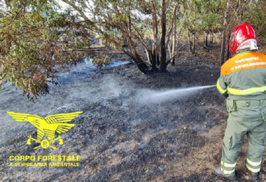 Sardegna: 15 gli incendi sull'Isola, mezzi aerei in azione