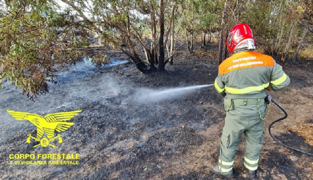 Sardegna: 15 gli incendi sull'Isola, mezzi aerei in azione