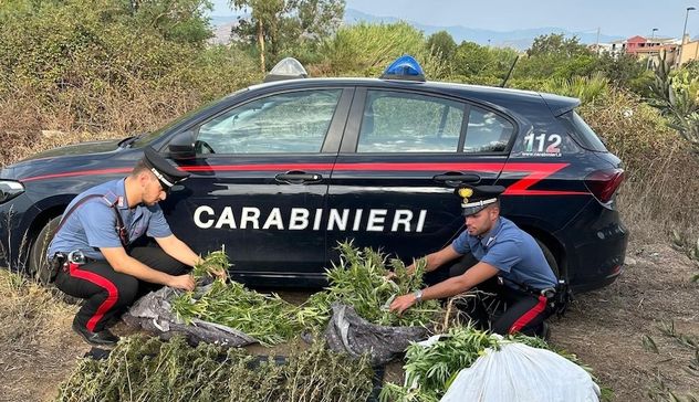 Tortolì. I carabinieri trovano 28 chili di marijuana 