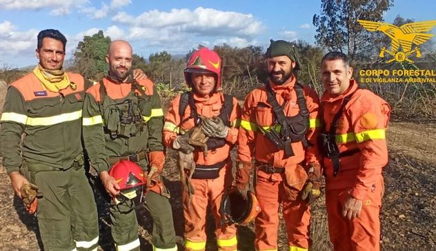 Incendio domato a Ussana, salvato anche un volpacchiotto 