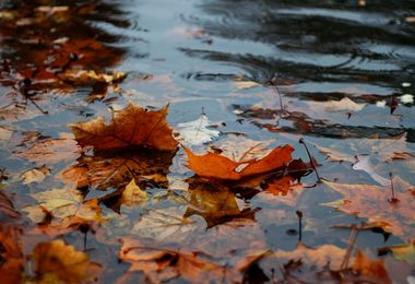 Meteo. Arriva l'autunno: pioggia e temperature giù di 15°