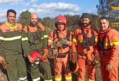 Incendio domato a Ussana, salvato anche un volpacchiotto 