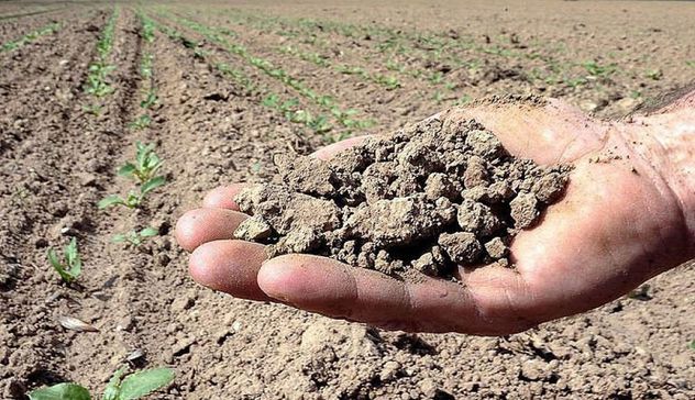 Sardegna chiede lo stato di calamità a causa della siccità