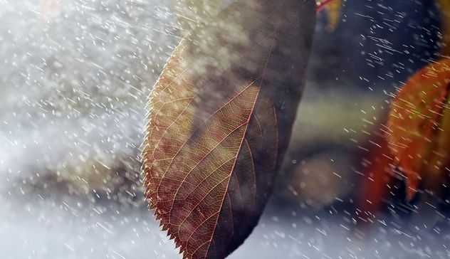 Meteo: giù le temperature, l'autunno entra a gamba tesa in Sardegna