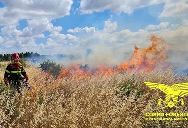 Oggi 14 incendi in Sardegna: paura a Serdiana