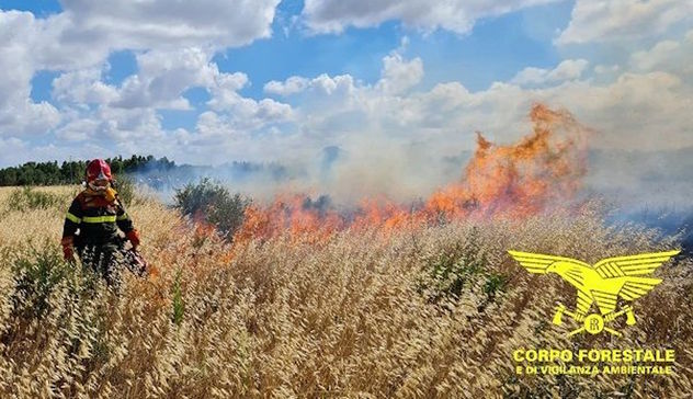 Oggi 14 incendi in Sardegna: paura a Serdiana