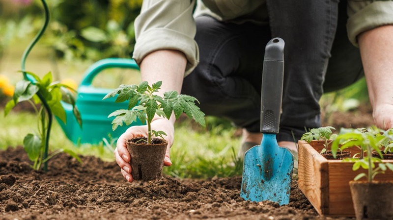 Agricoltura: menzione speciale alla Sardegna per l'agrobiodiversità