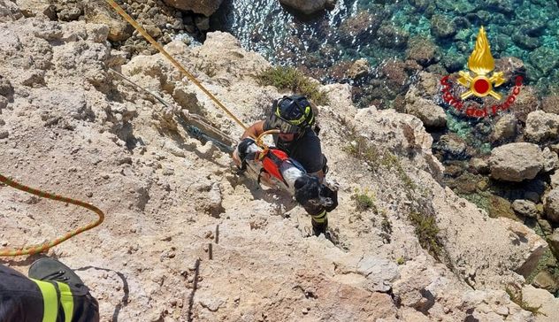 Cucciolo precipita in una falesia a Cabras, salvato dal 115