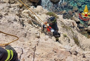 Cucciolo precipita in una falesia a Cabras, salvato dal 115