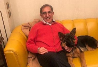 Cani e gatti al Senato, La Russa: 