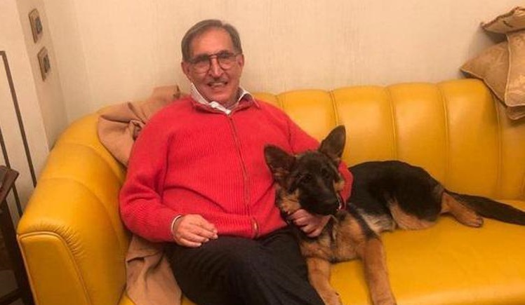 Cani e gatti al Senato, La Russa: 