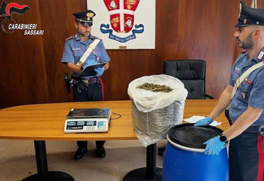 Sassari. Nascondeva 5 chili di marijuana in camera da letto, arrestato