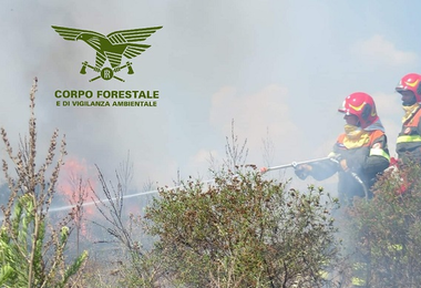 Incendi a Illorai, Santu Lussurgiu, Quartu Sant’Elena, Teulada e Aidomaggiore: Forestale in azione