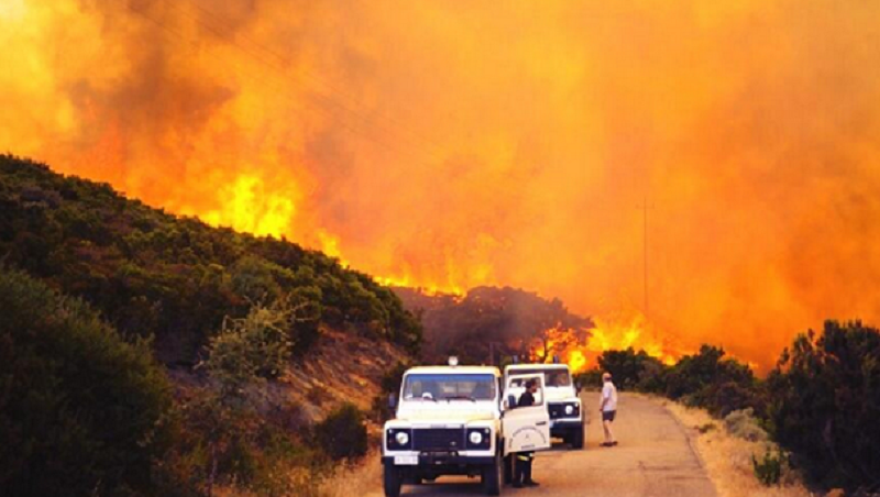 Incendio di Curraggia: 39 anni fa il dramma che costò la vita a 9 persone |  News - SardegnaLive